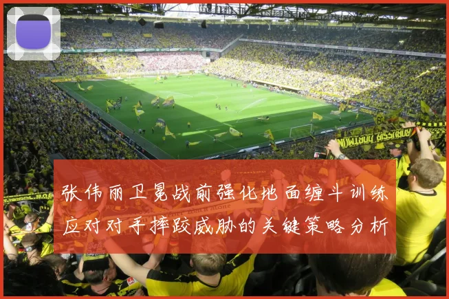 张伟丽卫冕战前强化地面缠斗训练应对对手摔跤威胁的关键策略分析