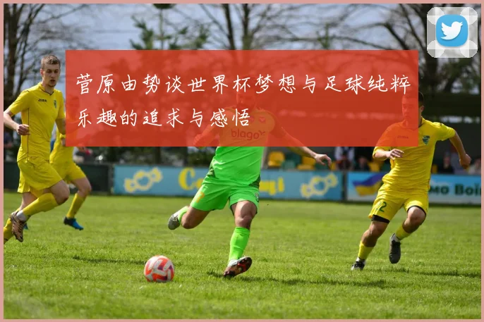 菅原由势谈世界杯梦想与足球纯粹乐趣的追求与感悟